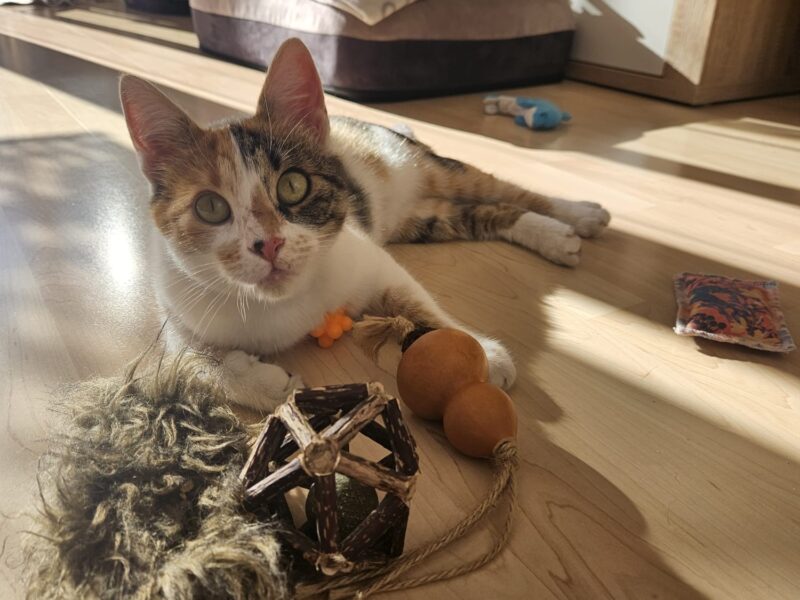 Luna