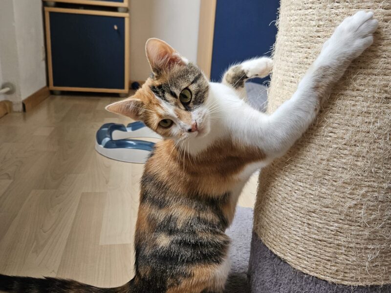 Luna