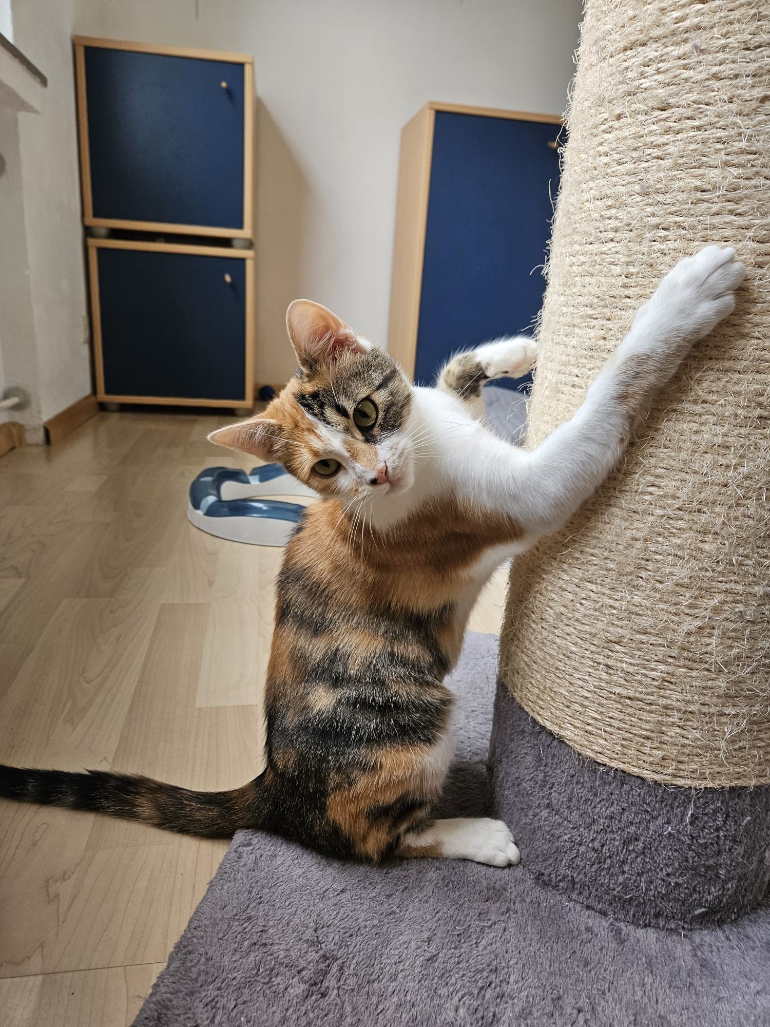 Luna