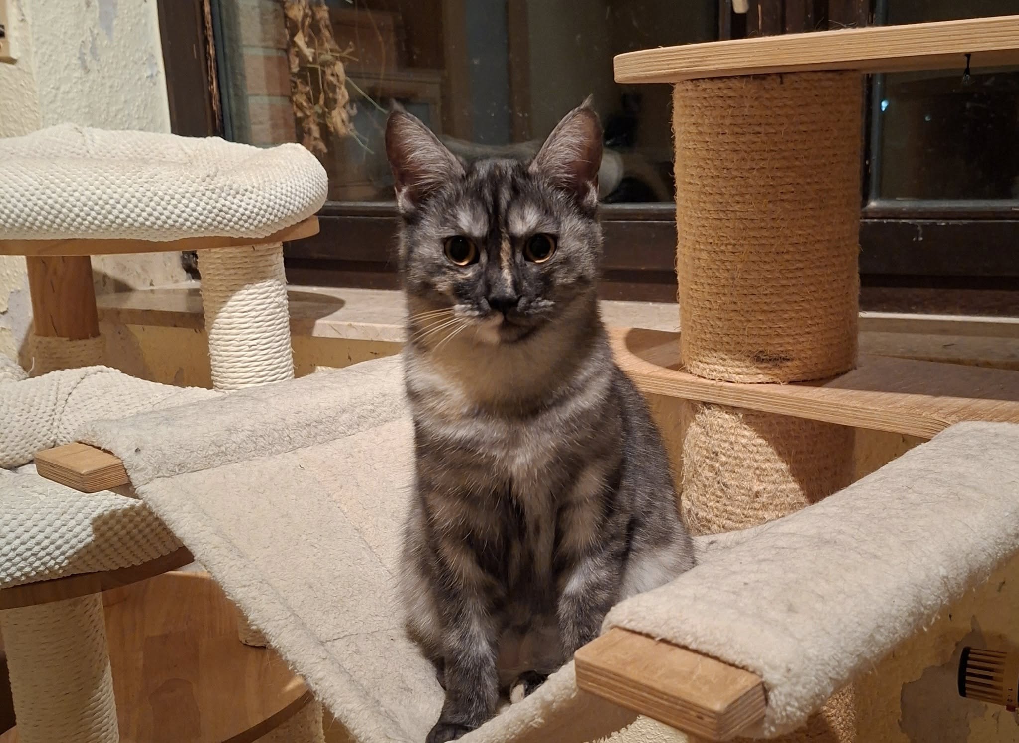 Zwei wunderschöne Mädels