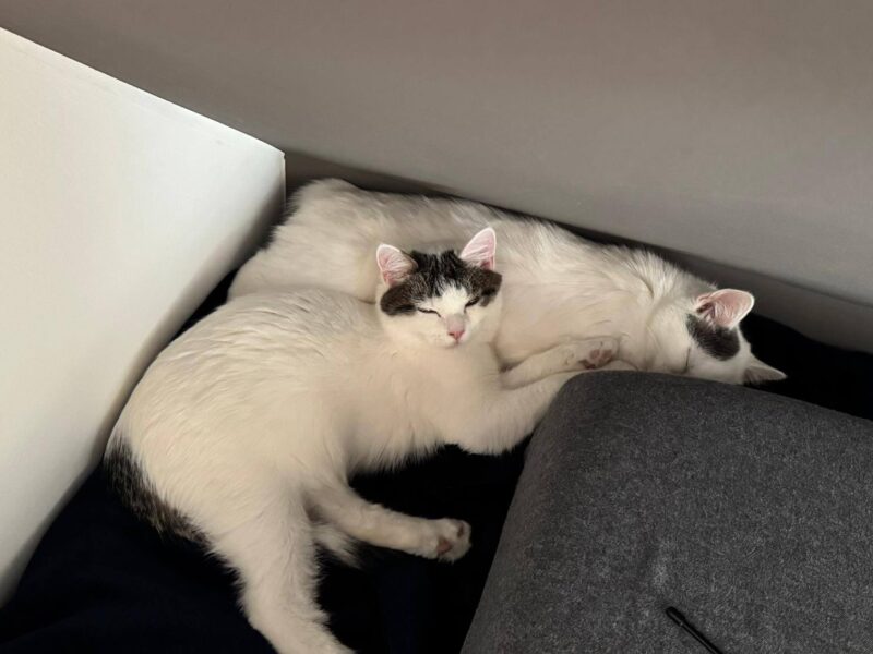 Marie & Anton