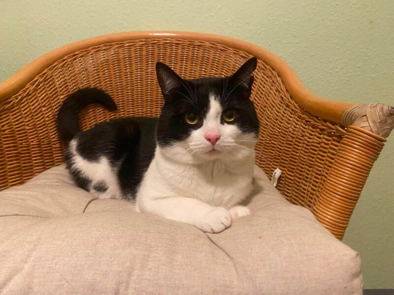 Tom & Malou