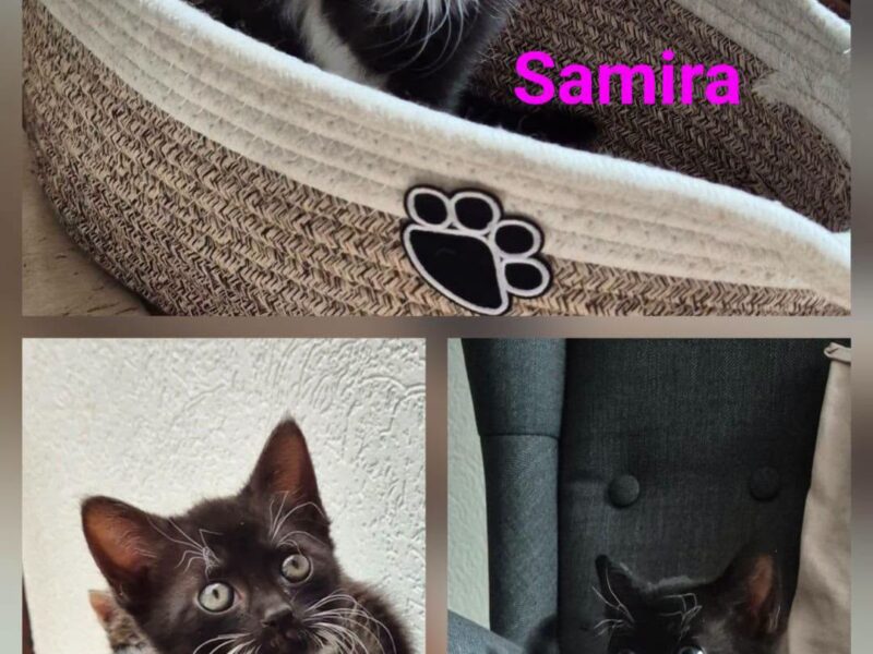 Samira und Monty
