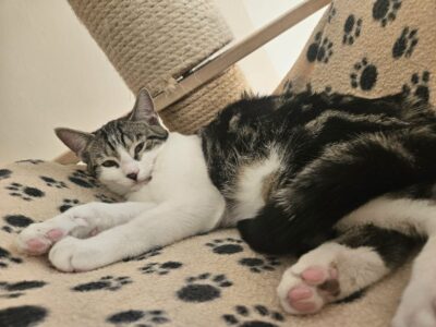 Keona und Benny