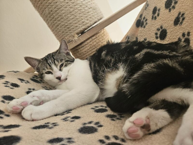 Keona und Benny