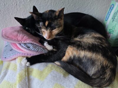 Emyl und Paula